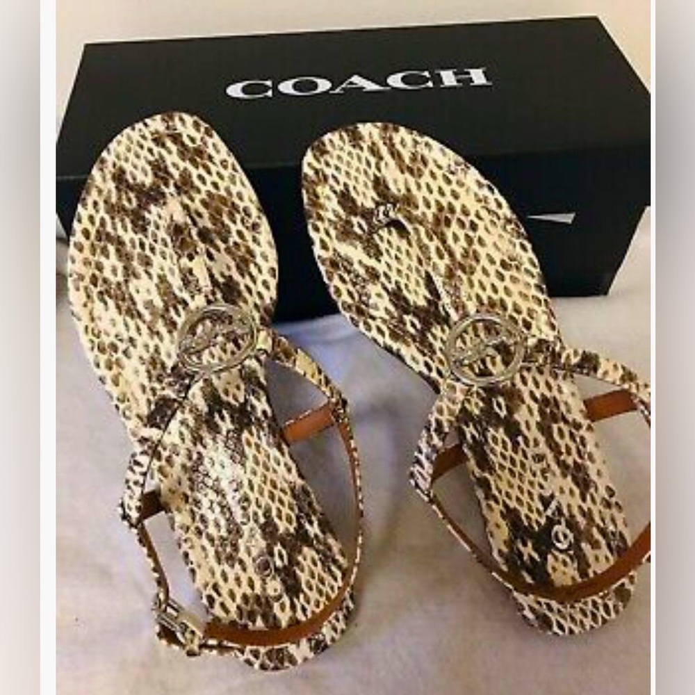 🤎COACH Jasmin PTE Natural Snakeskin Print Flat Toe Thong Strap Sandal